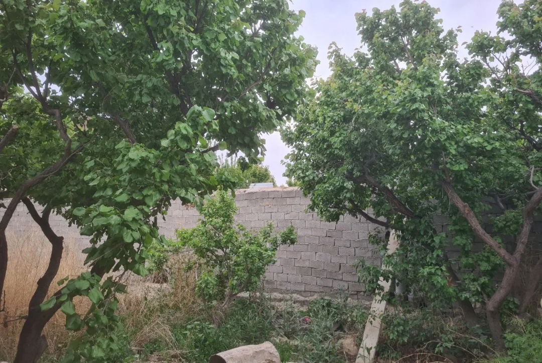 باغچه ۲۵۰متری.