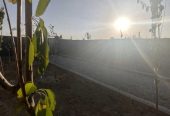 زمین ۳۰۲ متری / سند تک برگ / سهمیه اب