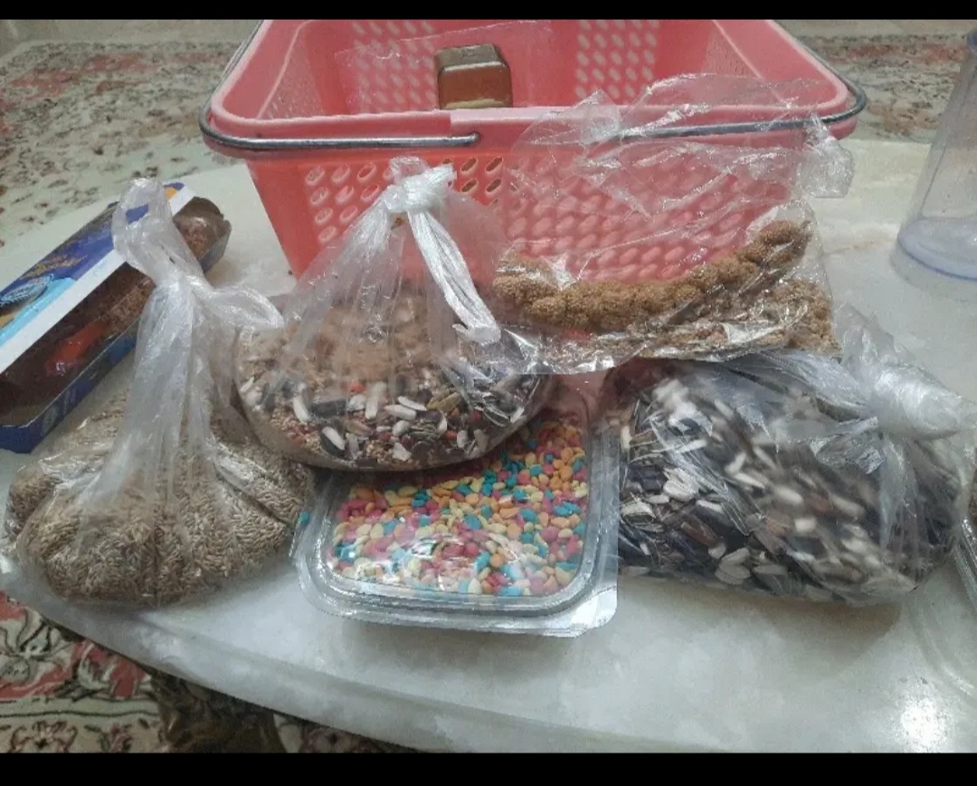 قفس چوبی و غذا و مکمل پرنده