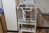 قفس چوبی و غذا و مکمل پرنده