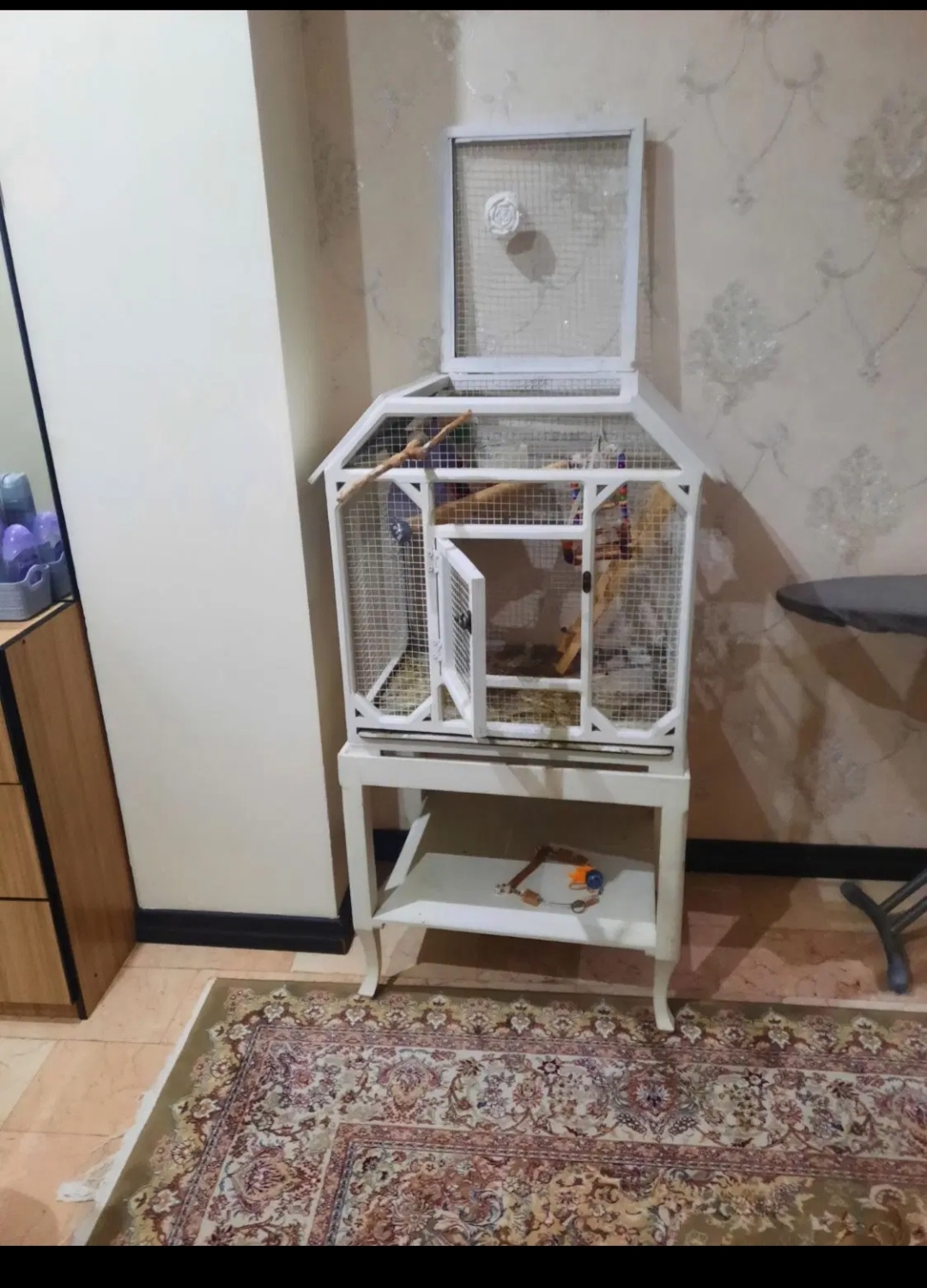 قفس چوبی و غذا و مکمل پرنده