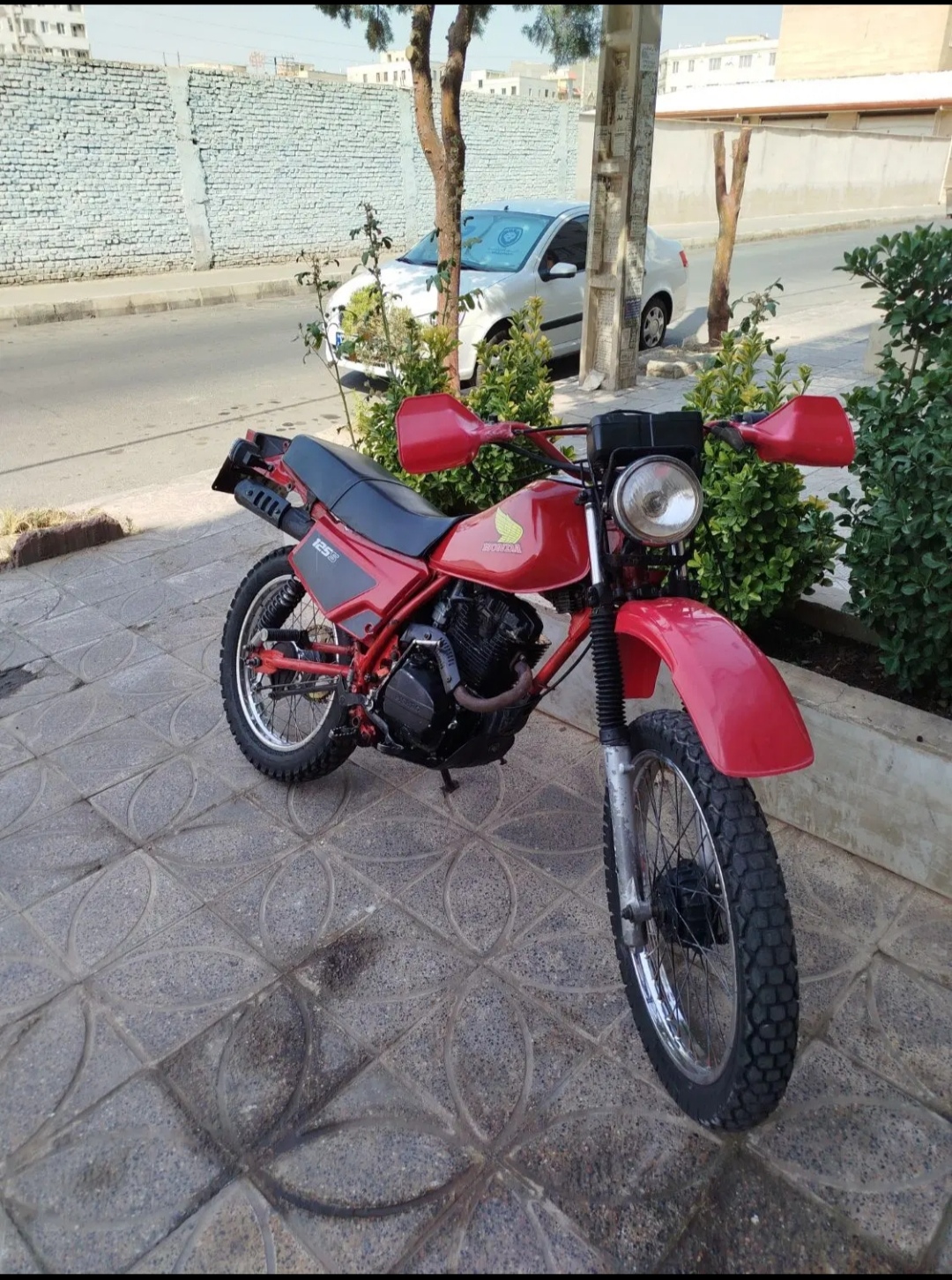 تریل پیشرو ایکسل زیر قیمت فوری فوری