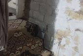 اجاره به واحد۷۰ متری برای انباری یا خیاطی
