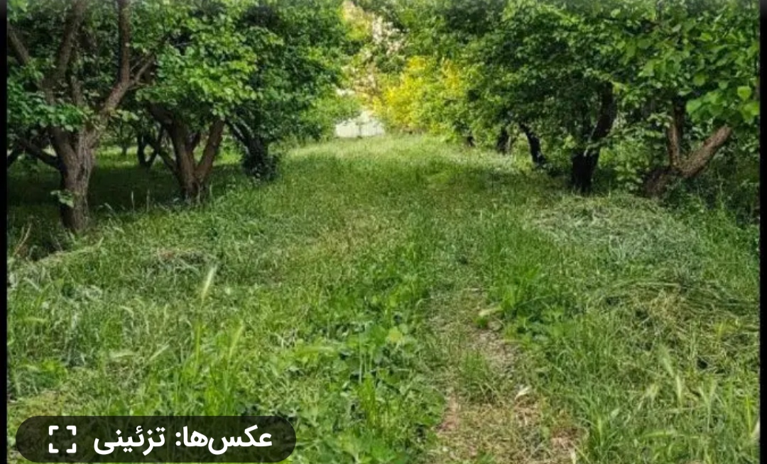 ۲۰۰و ۲۵۰متری باغچه آباد بهر ملارد لم اباد