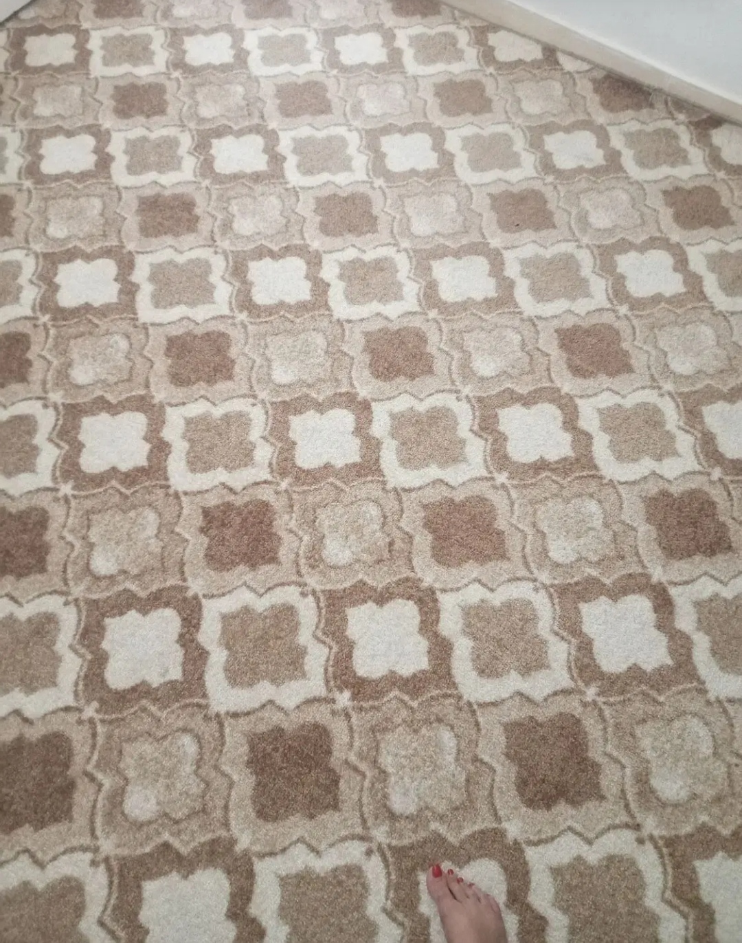 پالاز موکت