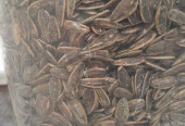 خشکبار آراز