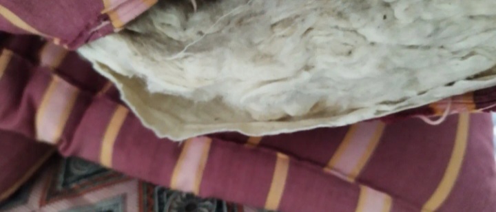 تشک