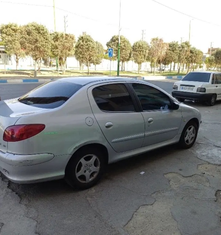 ۲۰۶ صندوقدار v19