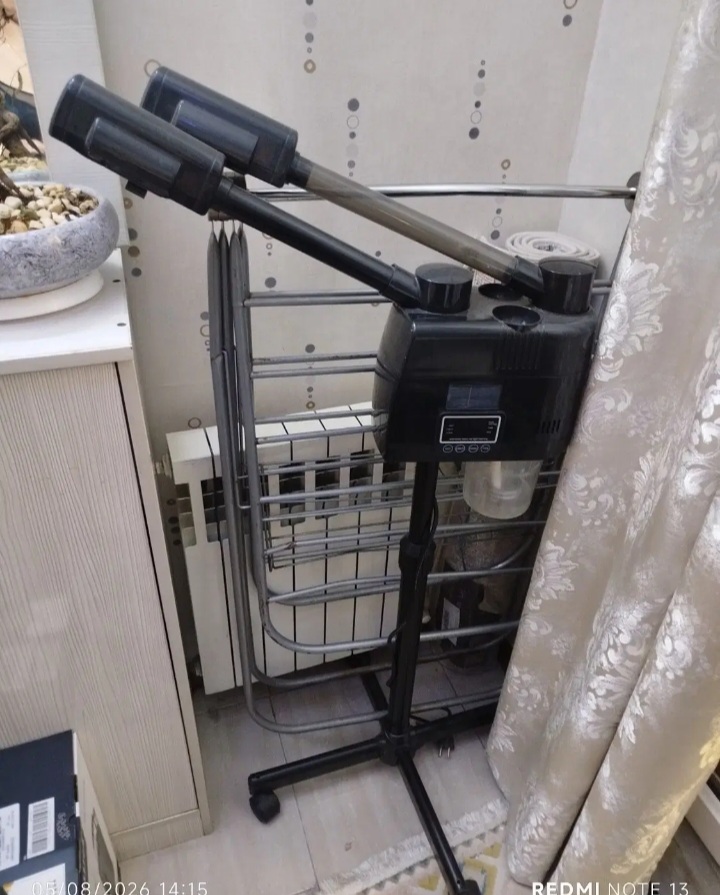 لباس شوی فرش درحدنو