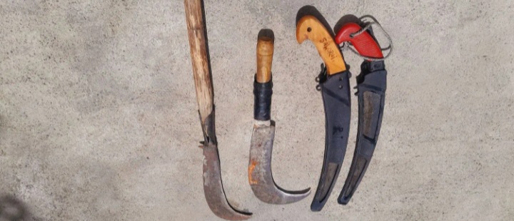 همگی سالم