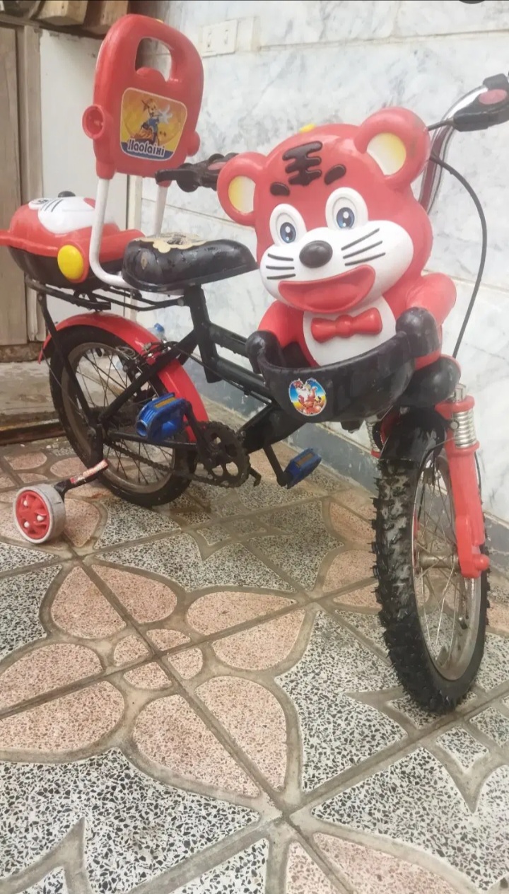 دوچرخه