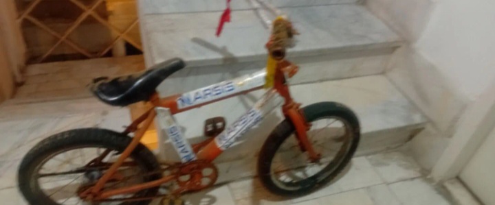 یک عدد دوچرخه