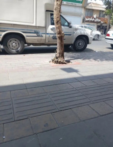 فروشنده اقا .