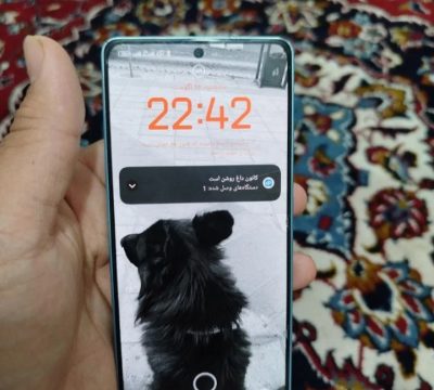 1000009387