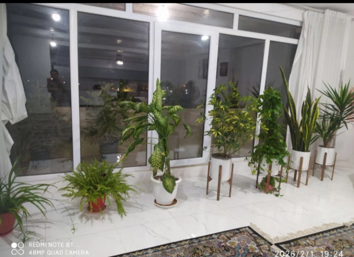 واحدی برای سخت پسندان .
