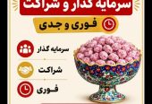شراکت فوری .
