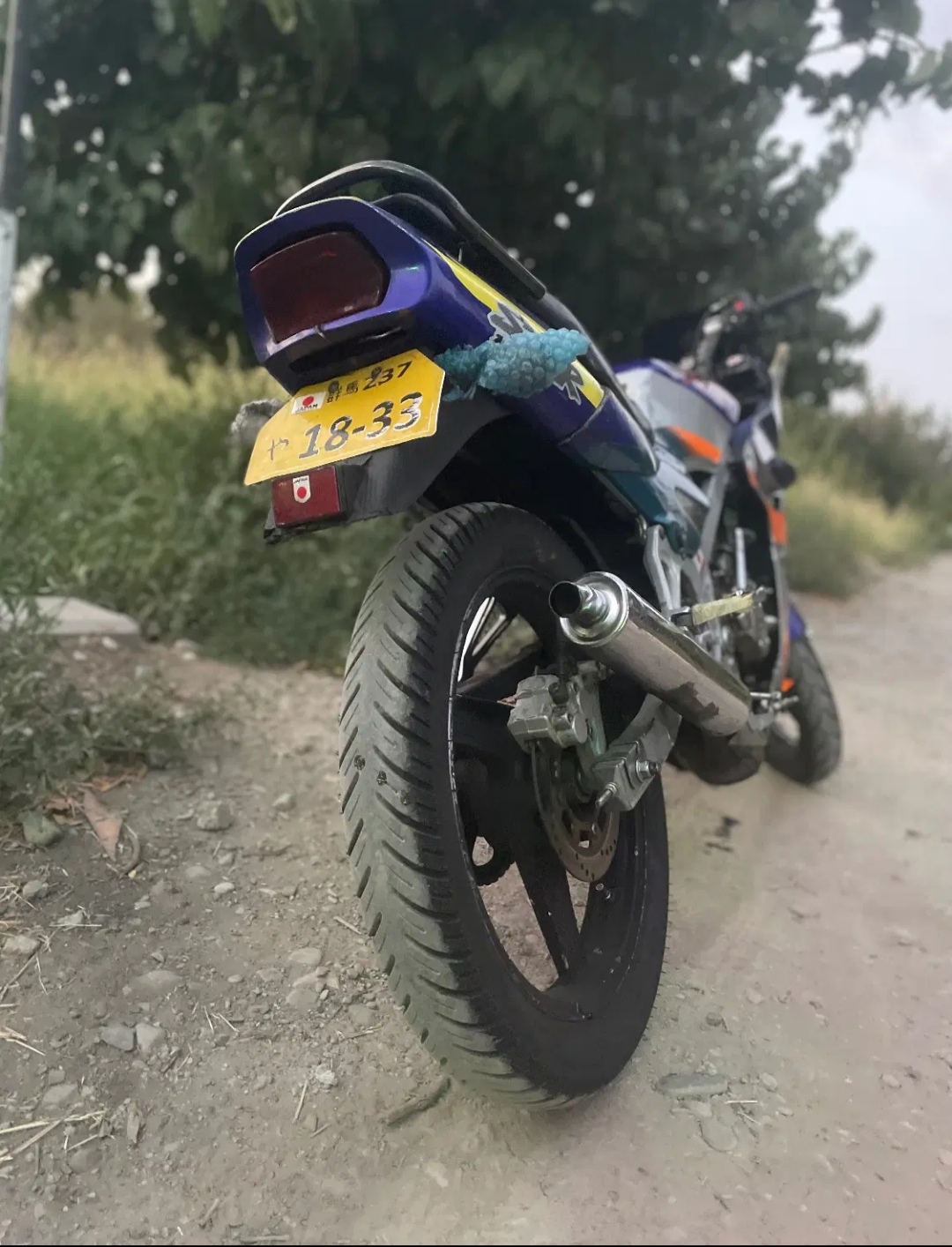 کاوازاکی هایکیپس .