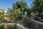 ویلا باغ ۶۰۹متری خدایارخان .