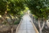 ویلا باغ ۶۰۹متری خدایارخان .