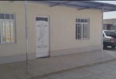 باغچه ۳۱۵متر و سوییت ۴۰ متری.