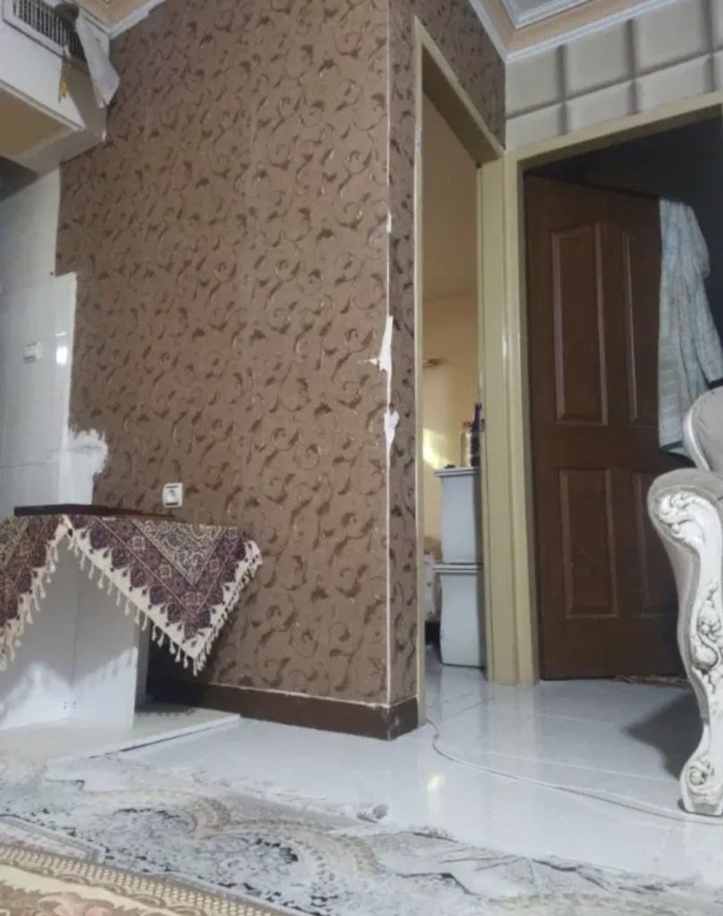 هم خانه.