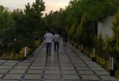 ۱۲۵۰متری سندتک برگ .