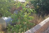 فروش خانه ویلایی درطالقان .