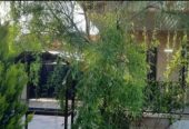 فروش باغ ویلا .