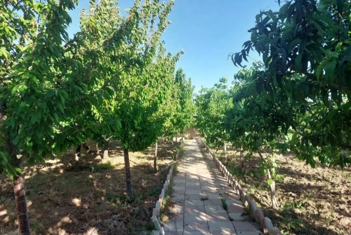 فروش باغ ویلا .