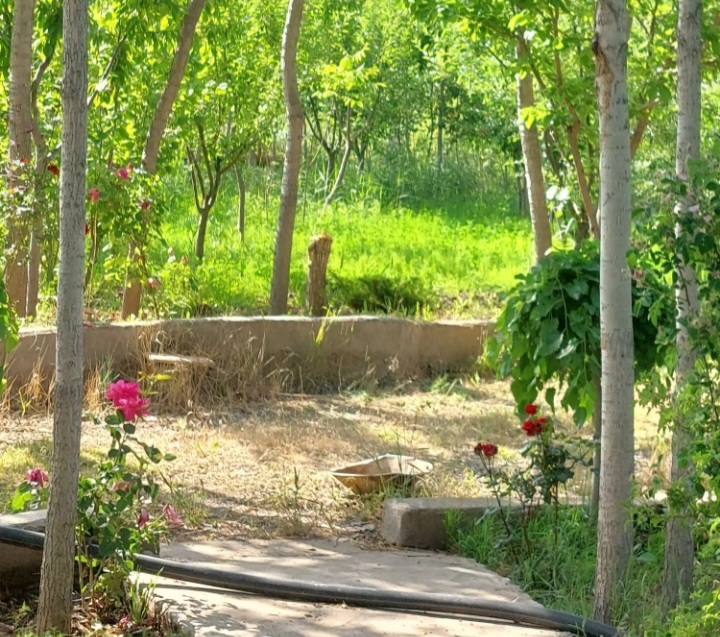 باغچه دربالا طالقان منطقه کوهستانی وبکر .