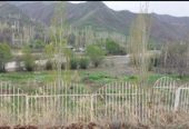 باغچه دربالا طالقان منطقه کوهستانی وبکر .