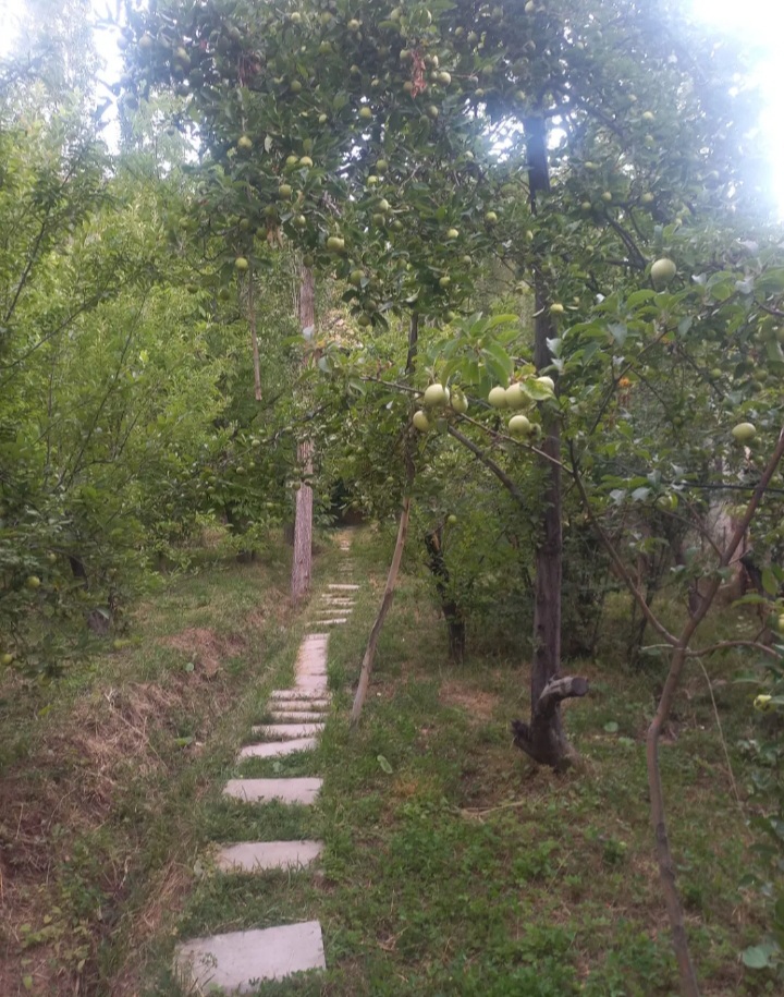 خانه باغ سنددار روستای جزینان .