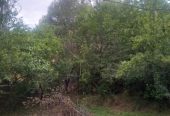 خانه باغ سنددار روستای جزینان .