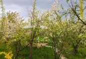 خانه باغ درطالقان درروستای گلیرددرمنطقه کوهستانی .