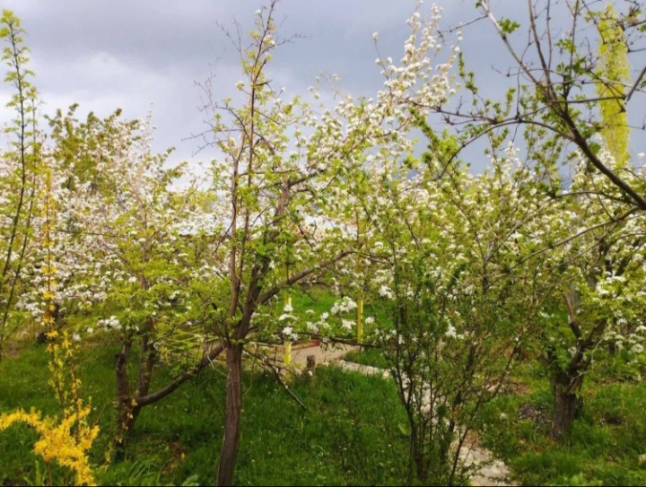 خانه باغ درطالقان درروستای گلیرددرمنطقه کوهستانی .