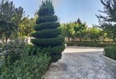 فروش .
