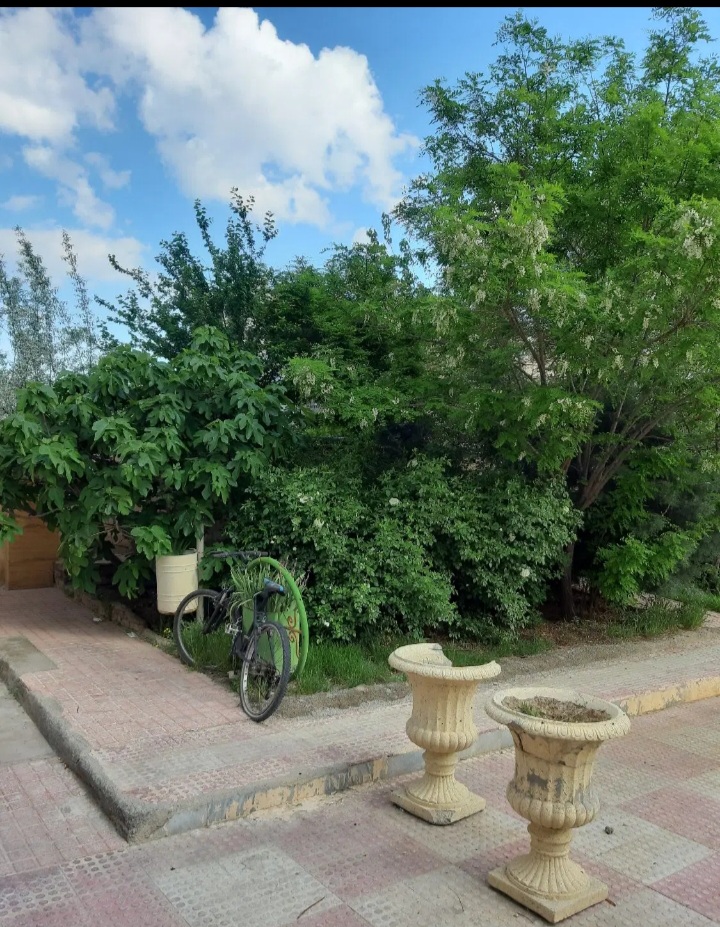 ۷۷مترسندی .
