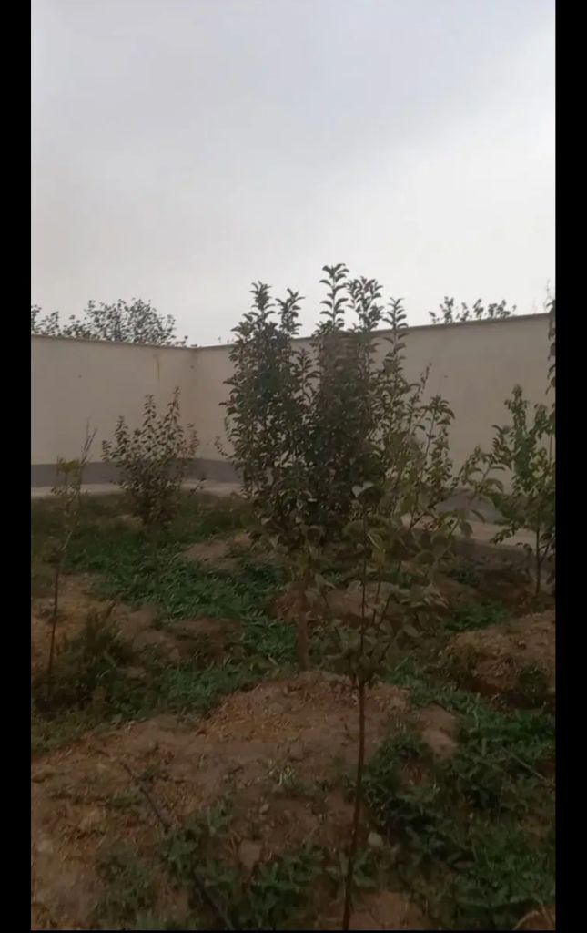 ویلایی فروشی قپچاق خوشنام.